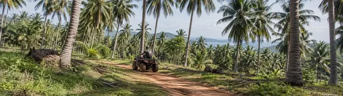 ATV Jungle Safari