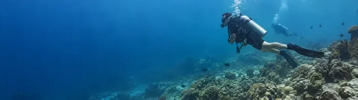Scuba diving from Koh Samui