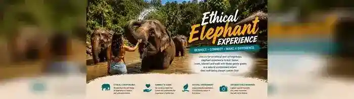 Elephant experience Koh Samui