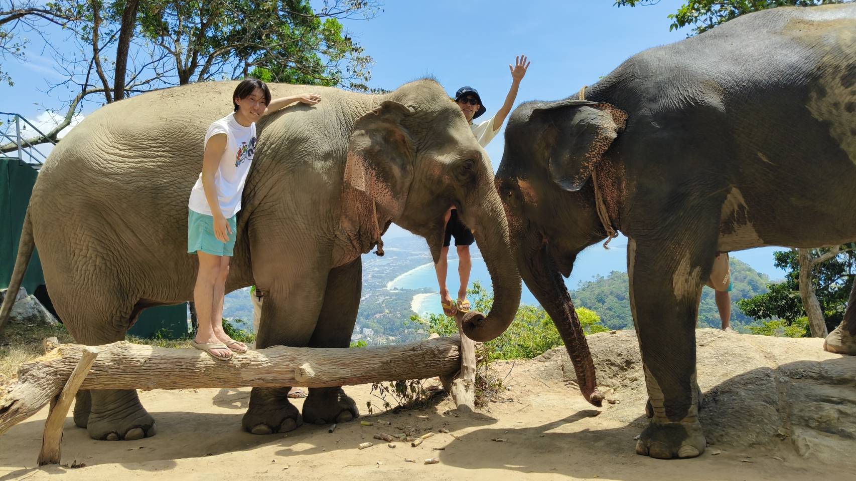 Elephant experience Koh Samui — meet, feed and bathe elephants