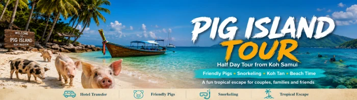 Pig Island Koh Madsum tour