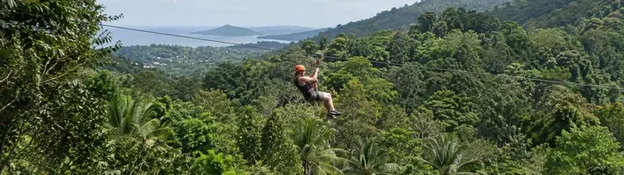 Treebridge Zipline